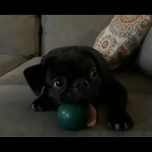 Meet your Posher, Mayra